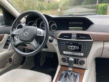 176752008 4196338020378933 6024879388609674748 N